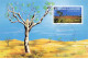 CARTE MAXIMUM #23584 NOUVELLE CALEDONIE NOUMEA 1993 REGION DE MALABOU - Maximum Cards