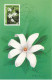 CARTE MAXIMUM #23446 POLYNESIE FRANCAISE PAPEETE 1990 LE TIARE TAHITI FLEURS - Maximum Cards