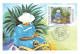 CARTE MAXIMUM #23529 POLYNESIE FRANCAISE PAPEETE 1995 ARTISTES PEINTRES TESTEGUIDE - Tarjetas – Máxima