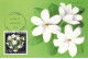 CARTE MAXIMUM #23608 WALLIS ET FUTUNA MATA UTU 1993 FETES DES MERES FLEURS BOUQUET SIALE - Cartes-maximum