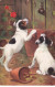 CHIEN #25153 JACK RUSSELL RUSSEL DEUX BEAUX CHIOTS JOUANTS AVEC UN ESCARGOT - Dogs