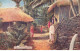 SRI LANKA #28654 CEYLON TYPICAL VILLAGE - Sri Lanka (Ceylon)