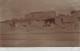 EGYPTE EGYPTE #32414 ENTREE D UN VILLAGE CARTE PHOTO - Altri & Non Classificati