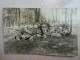 Carte Photo ALLEMAGNE GERMANY Groupe De Militaire MAYENCE 1925 - Mainz