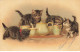 CHATS CHAT #FG35092 CAT KATZE GROUPE DE CHATONS DEVANT LA THEIERE - Gatti