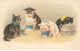 CHATS CHAT #FG35091 CAT KATZE GROUPE DE CHATONS BUVANT LE LAIT DANS DES TASSES - Katzen
