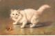 CHATS #MK34369 CHAT BLANC ET UN ESCARGOT - Gatos