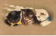 CHATS CHAT #FG35109 CAT KATZE PORTRAIT DE TROIS CHATS NOIR BLANC ET TIGRE AVEC NOEUDS ET CLOCHETTE - Katzen