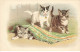 CHAT #35210 CHATS CAT KATZE CACHE CACHE SOUS LE TAPIS CLOCHETTE - Cats