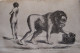 A. DEBAY - Histoire Naturelle De L'Homme Et De La Femme (...) Race Humaine Primitive, 1875 Signé Par L'auteur - 1801-1900