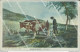 Bq309 Cartolina Costumi Sardi L'aratura 1920 - Sassari