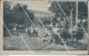 Bq319 Cartolina Fiuggi Panorama Buoi  1917 Provincia Di Frosinone - Frosinone