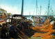 Navigation Sailing Vessels & Boats Themed Postcard Herault Sete Fisherman Harbour - Segelboote