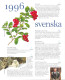 Delcampe - Sverige / Sweden / Svenska - 1996 Complete Year Set, Full Set Swedish Official Stamps With Folder, Size A4 - MNH - Neufs