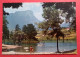 73 - SAVOIE - CHALLES LES EAUX - CPSM SA5  - Baignade Lac Saint ANDRE - éd JANSOL * Chambéry / Mont Granier - Autres & Non Classés