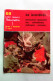 VOLUMETRIX - Livret Educatif Images à Découper - Edition 1979 - Schede Didattiche