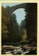 65. SAINT-SAUVEUR – Le Pont Napoléon (voir Scan Recto/verso) - Luz Saint Sauveur