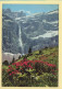 65. GAVARNIE – Rhododendrons Et Cascade Du Cirque (voir Scan Recto/verso) - Gavarnie