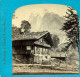 Suisse Grindelwald * Chalet Et Le Wetterhorn - Photo Stéréoscopique Braun Vers 1865 - Photos Stéréoscopiques