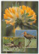 Postcard / Postmark Netherlands 1985 Scouting Jubilee - Andere & Zonder Classificatie