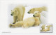 Postal Stationery China 1999 Polar Bear - Arktis Expeditionen