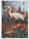 Maximum Card France 1975 Bird - Egret - Other & Unclassified