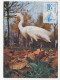 Maximum Card France 1975 Bird - Egret - Autres & Non Classés