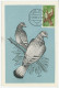 Maximum Card IFNI 1957 Pigeon - Autres & Non Classés