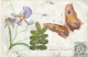 ZY 66- CARTE PEINTE , PAPILLON ET FLEURS - AJOUT CHROMO FOUGERE ET FLEUR EN NACRE - 2 SCANS - Sonstige & Ohne Zuordnung