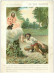 Chromos. N°34098 .les Souhaits Ridicules .n°2 .au Bon Marché.publicité. 16  X 11.5 Cm - Au Bon Marché