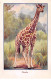 Chromos -COR11975 - Huile De Foie De Morue La Gaduase - Girafe -  6x10cm Env. - Sonstige & Ohne Zuordnung