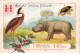 Chromos -COR11763 - Alphabet D'histoire Naturelle - Hippopotame - Houx - Héron Goliath - Hanneton  -  7x10cm Env. - Sonstige & Ohne Zuordnung
