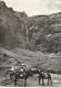 ZY 95-(65) GAVARNIE - PROMENADE A DOS DE MULET - TAMPON HOTEL DU PROGRES  LOURDES ,   - Gavarnie