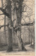 ZY 115-(77) LE CHENE CHARME - FORET DE FONTAINEBLEAU  - 2 SCANS - Bäume