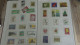 Delcampe - BF51 Bel Ensemble De Timbres Oblitérés De Divers Pays + Plaquette De Timbres **. A Saisir !!! - Collections (with Albums)