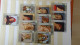 Delcampe - BF53 Bel Ensemble De Timbres De Divers Pays + Plaquette De Timbres **. A Saisir !!! - Collections (with Albums)