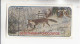 Gartmann Jagdbilder Der Fuchs  Serie 195 #3 Von 1907 - Sonstige & Ohne Zuordnung