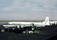 Aviation Postcard-WGA-1456 UNITED AIRLINES Douglas DC-6 - 1946-....: Era Moderna
