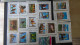 BF54 Bel Ensemble De Timbres De Divers Pays + Plaquette De Timbres **. A Saisir !!! - Verzamelingen (in Albums)