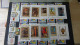 Delcampe - BF54 Bel Ensemble De Timbres De Divers Pays + Plaquette De Timbres **. A Saisir !!! - Collections (with Albums)