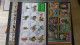 Delcampe - BF54 Bel Ensemble De Timbres De Divers Pays + Plaquette De Timbres **. A Saisir !!! - Collections (with Albums)