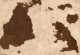 CHROMO GRAND FORMAT BISCUITS JOS CORDEMANS ANVERS CALENDRIER 1891 - Andere & Zonder Classificatie