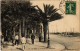 CPA AK ALGER Le Square Bresson ALGERIA (1388492) - Algeri