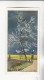 Gartmann Bäume Obstbaum   Serie 201 #2 Von 1907 - Autres & Non Classés
