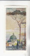 Gartmann Bäume Pinie   Serie 201 #6 Von 1907 - Sonstige & Ohne Zuordnung