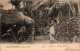 N°1600 W -cpa Colombo Ceylon -Native Huts- - Sri Lanka (Ceylon)