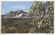 11902301 Pilatus Panorama Pilatus - Sonstige & Ohne Zuordnung