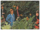 Y29020/ The Gloomys Beat- Popband Autogrammkarte Rückseite Autogramme 60er - Handtekening