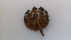 B18 / BROCHE ANCIENNE METAL MANQUE FERMOIR  ANGE - Brochen