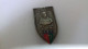 B18 / BROCHE DIOCESE  ST ETIENNE MARTYR MANQUE FERMOIR - Ethnics